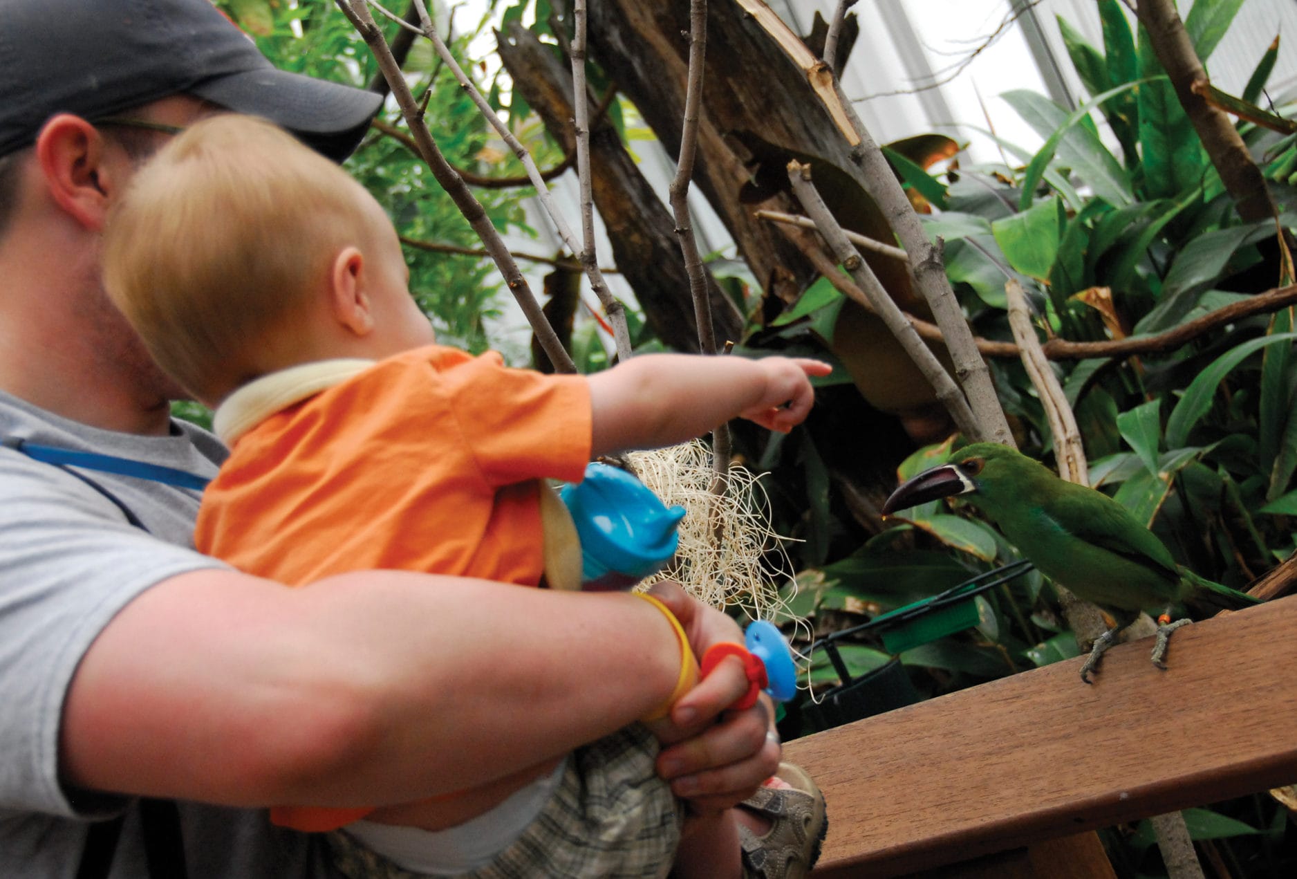 A father holds his young child while they look at birds in Philadelphia Zoo's McNeil Avian Center.