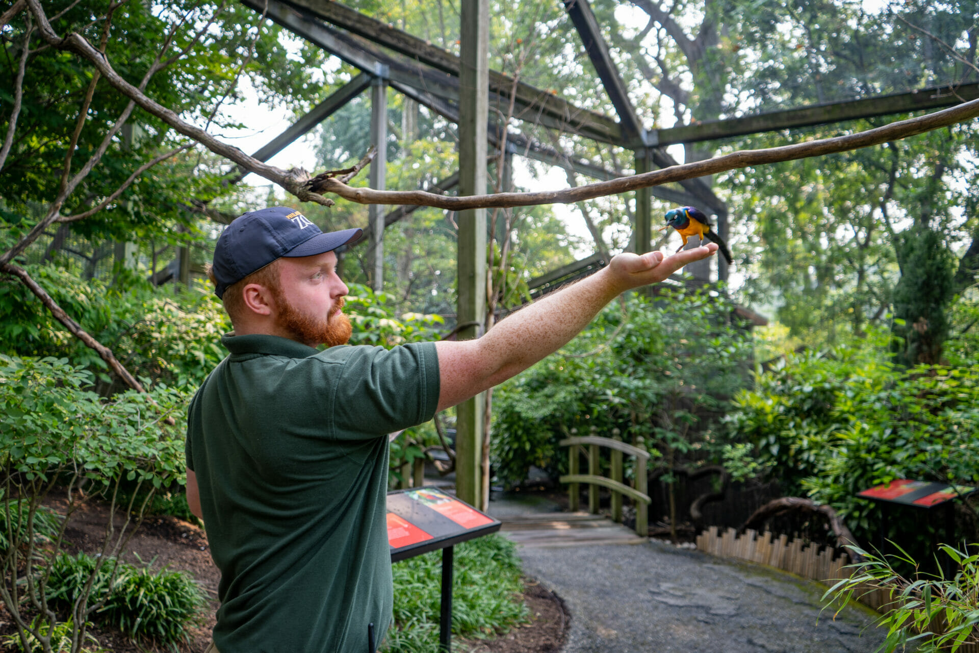 A Zoo staff member feeds a bird inside the Wings of the World attraction.