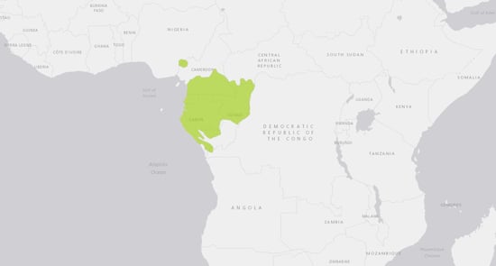 Western Lowland Gorilla range