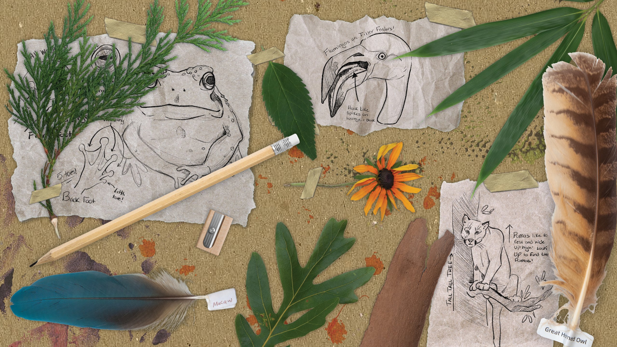 A decorative header image for the Wild Workshops events at Philadelphia Zoo.