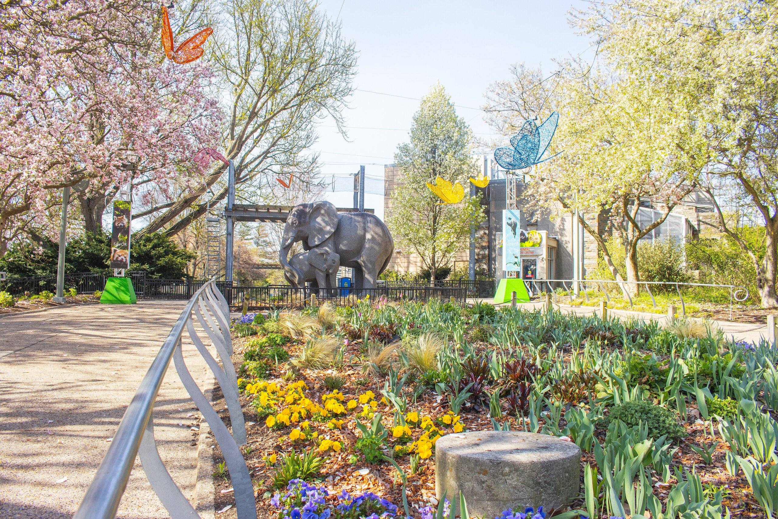 The gardens in bloom during spring at Philadelphia Zoo.