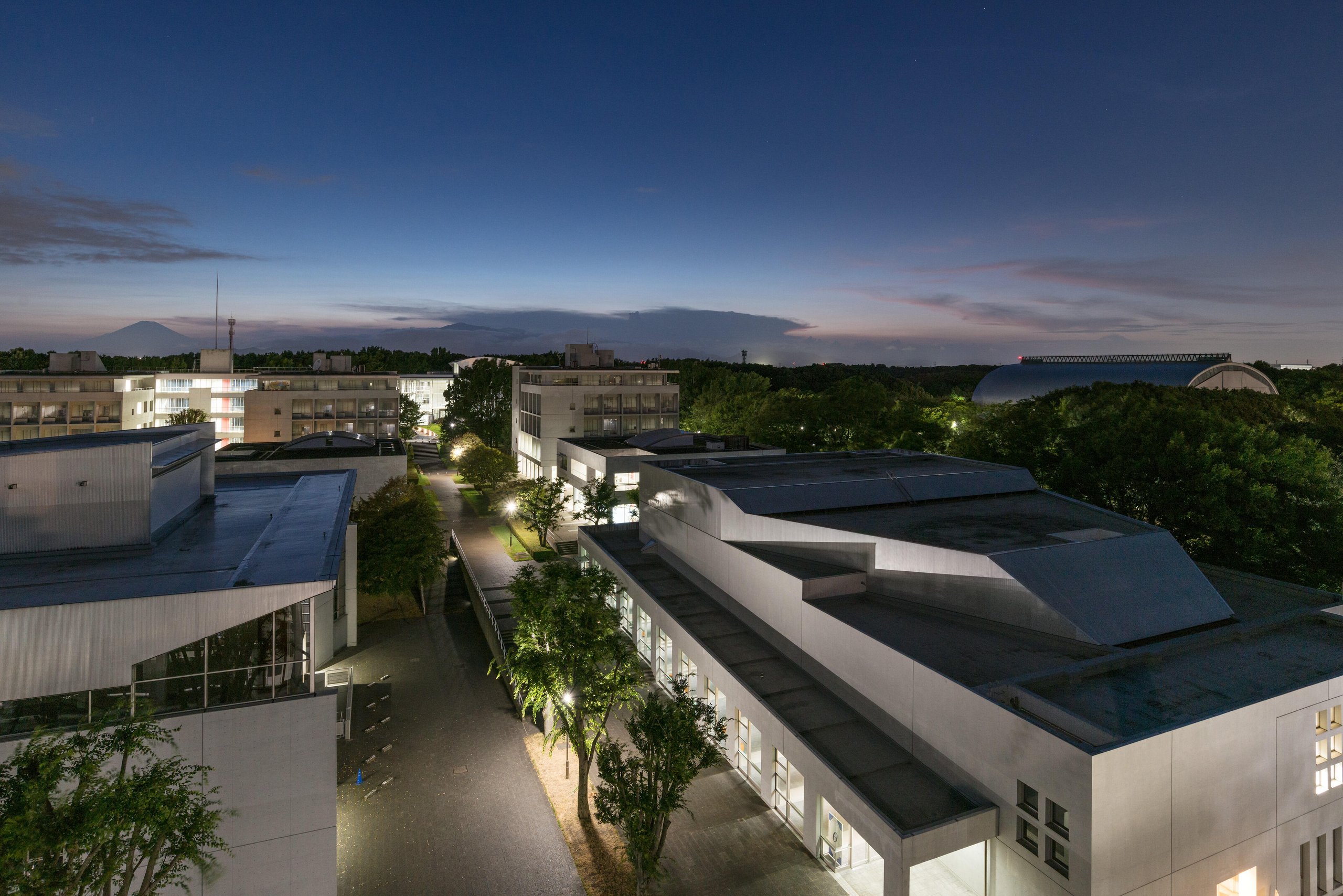 キャンパスの風景写真。