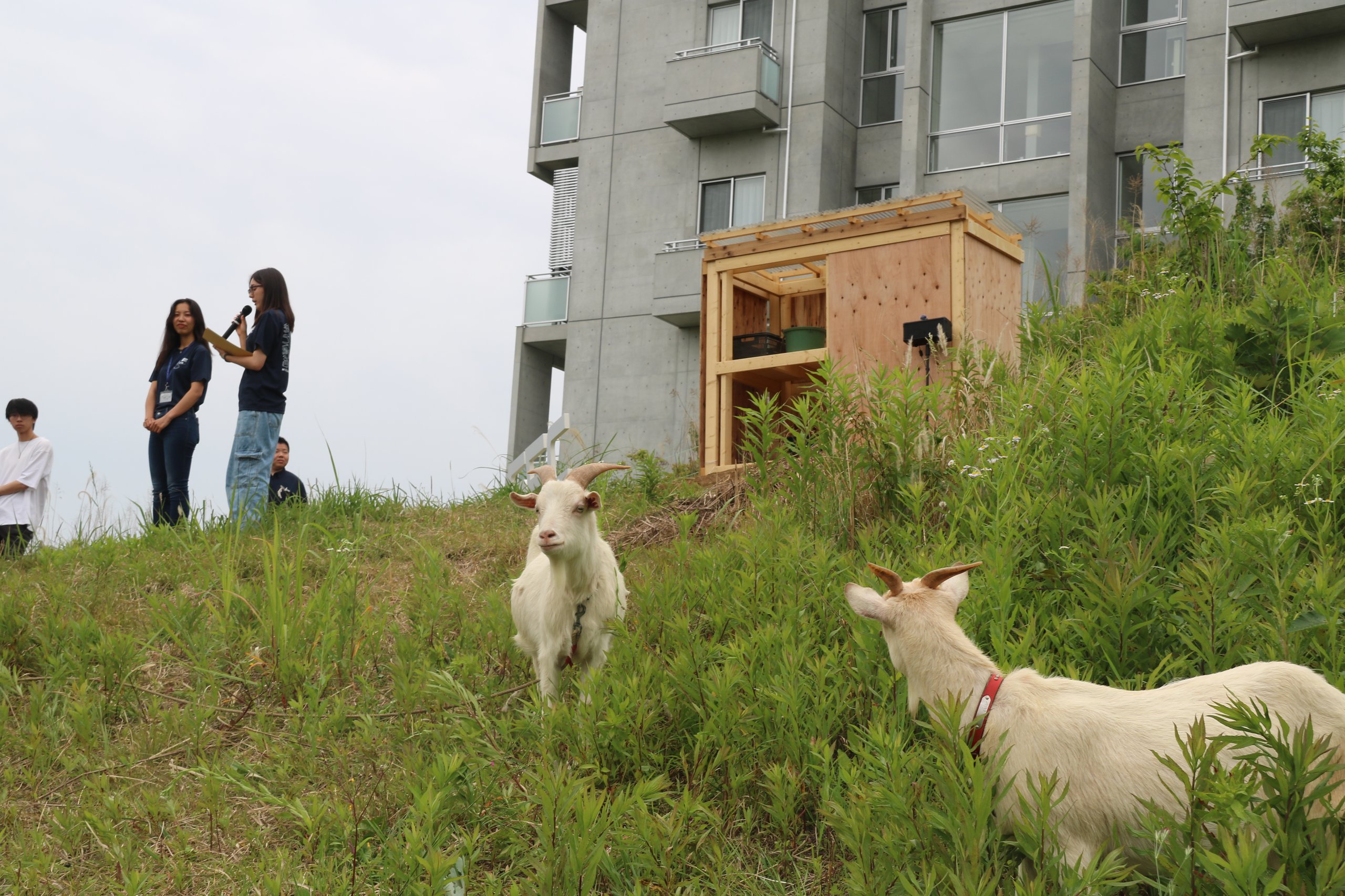 �䥮�ȥ䥮С��