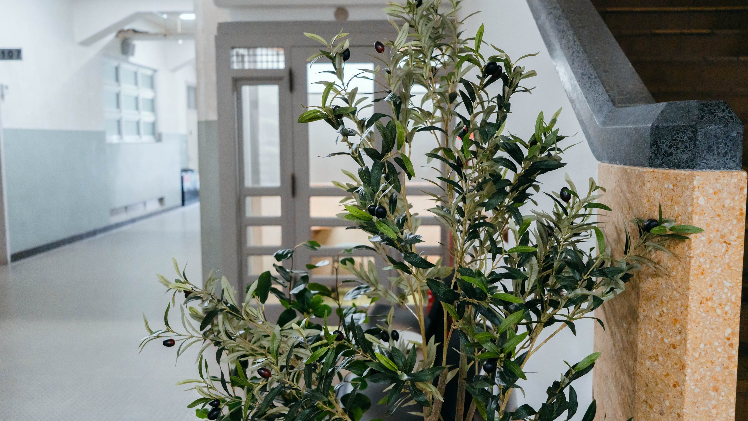 1人掛け椅子の隣には植物も