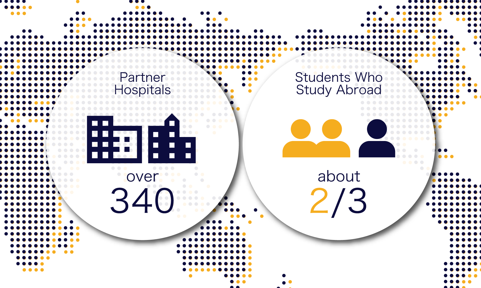 Medical Education and Research with a Global Perspective