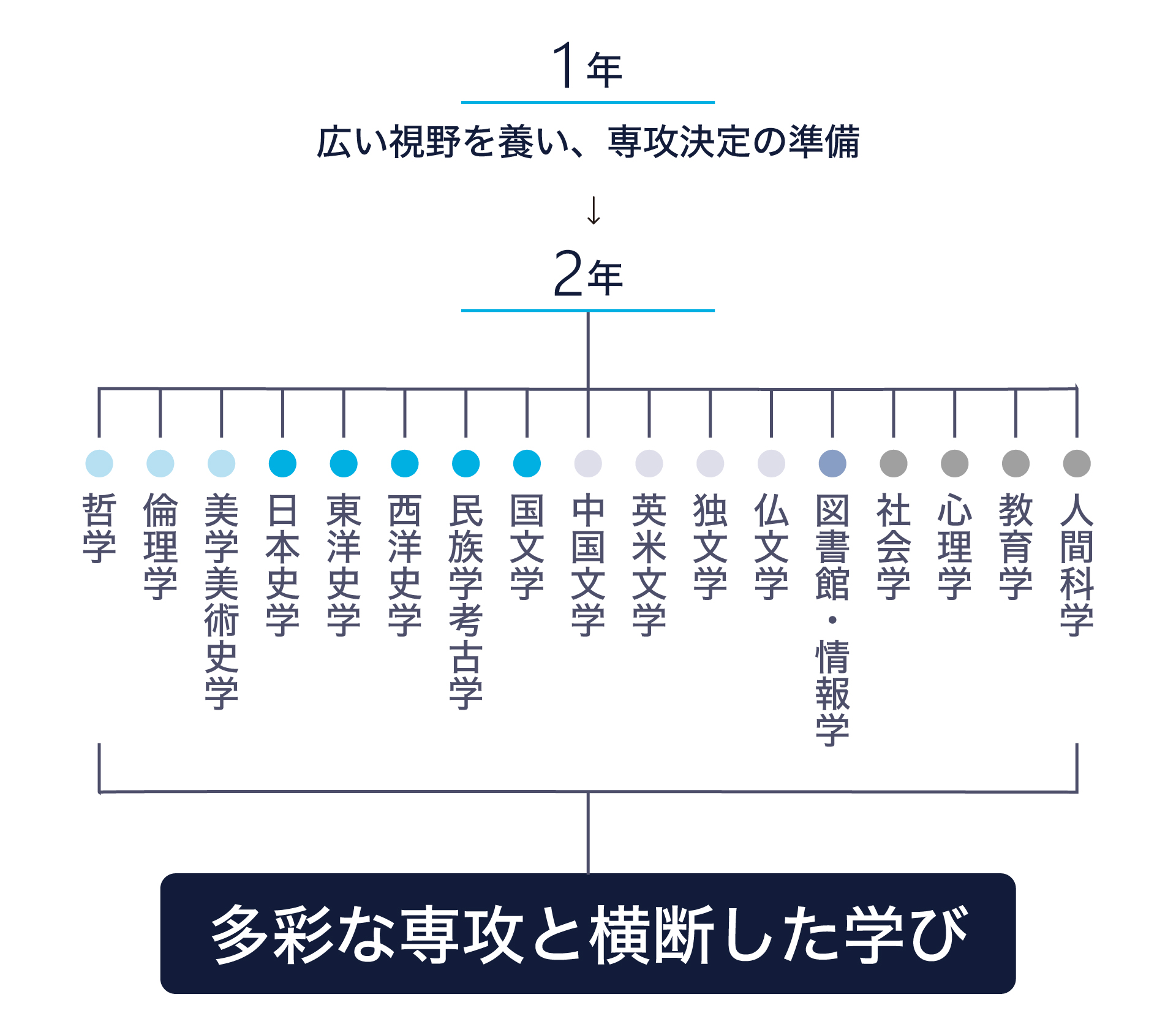 2年次からの専攻選択で広め深める学びのプロセス