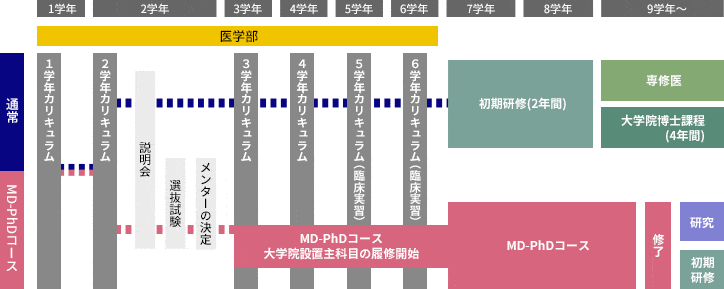 研究医養成プログラムについて、下記のテキストを図に起こしたものです。