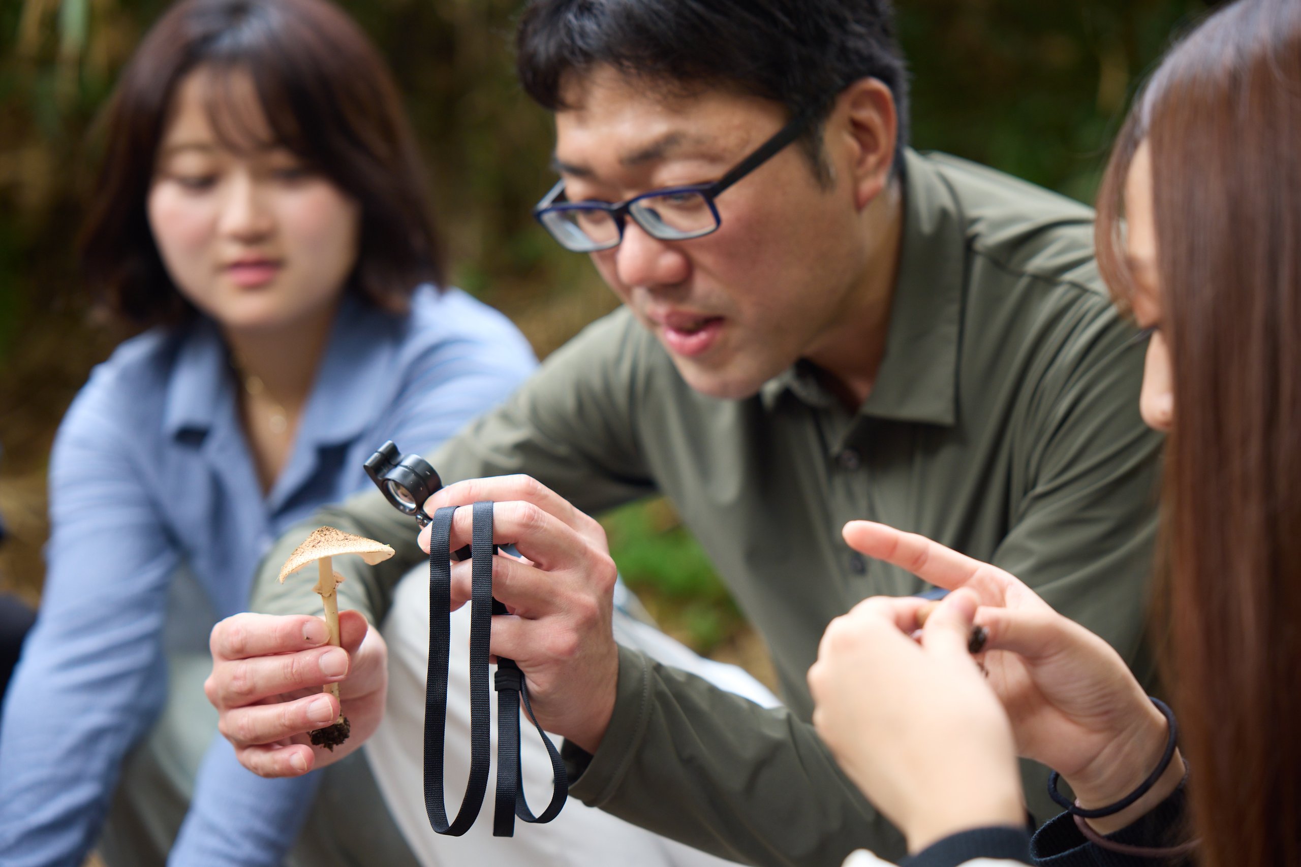 日吉の森で採取したキノコを観察する教授と生徒たち