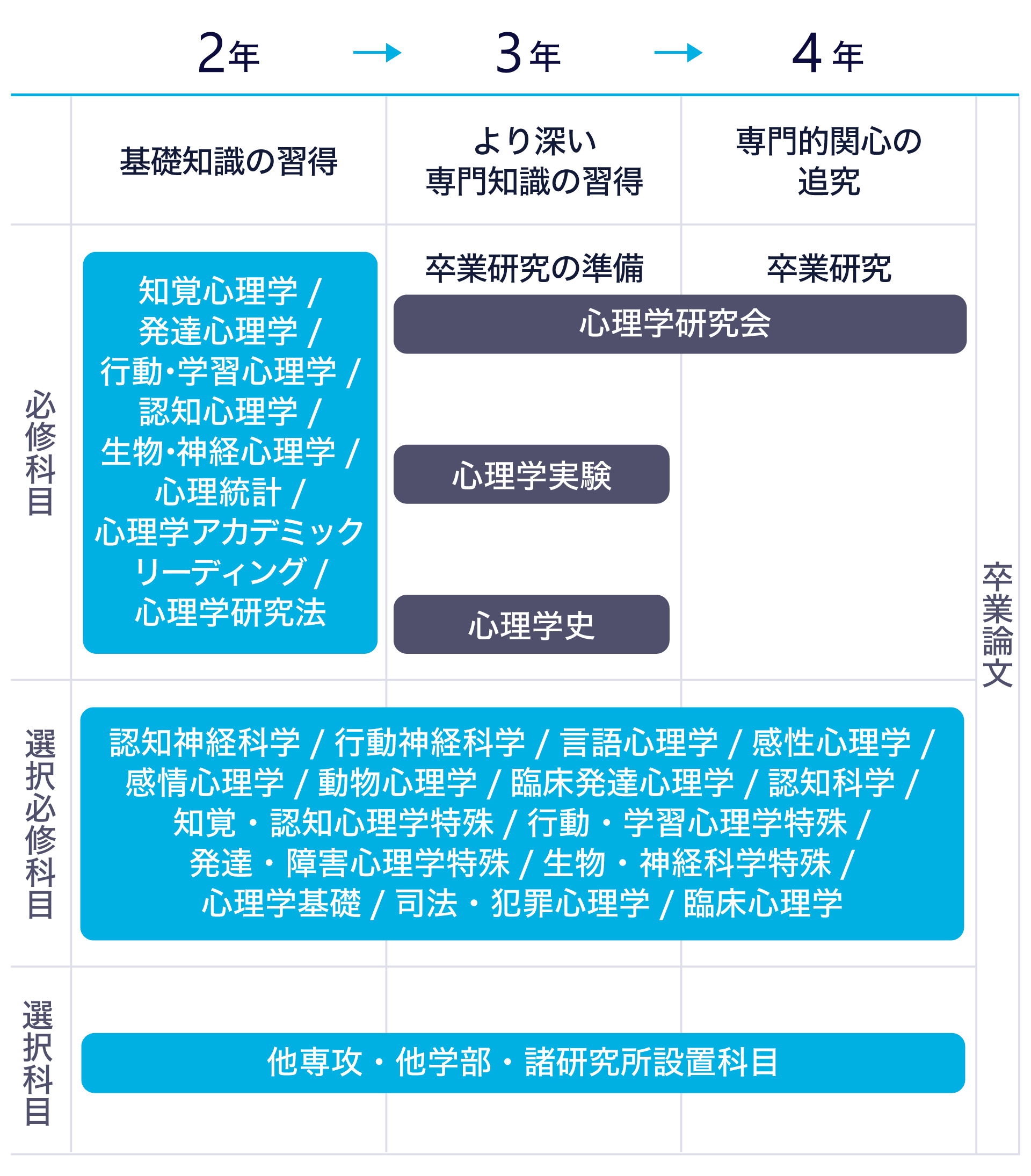 カリキュラムの流れのテキストを図にまとめた画像