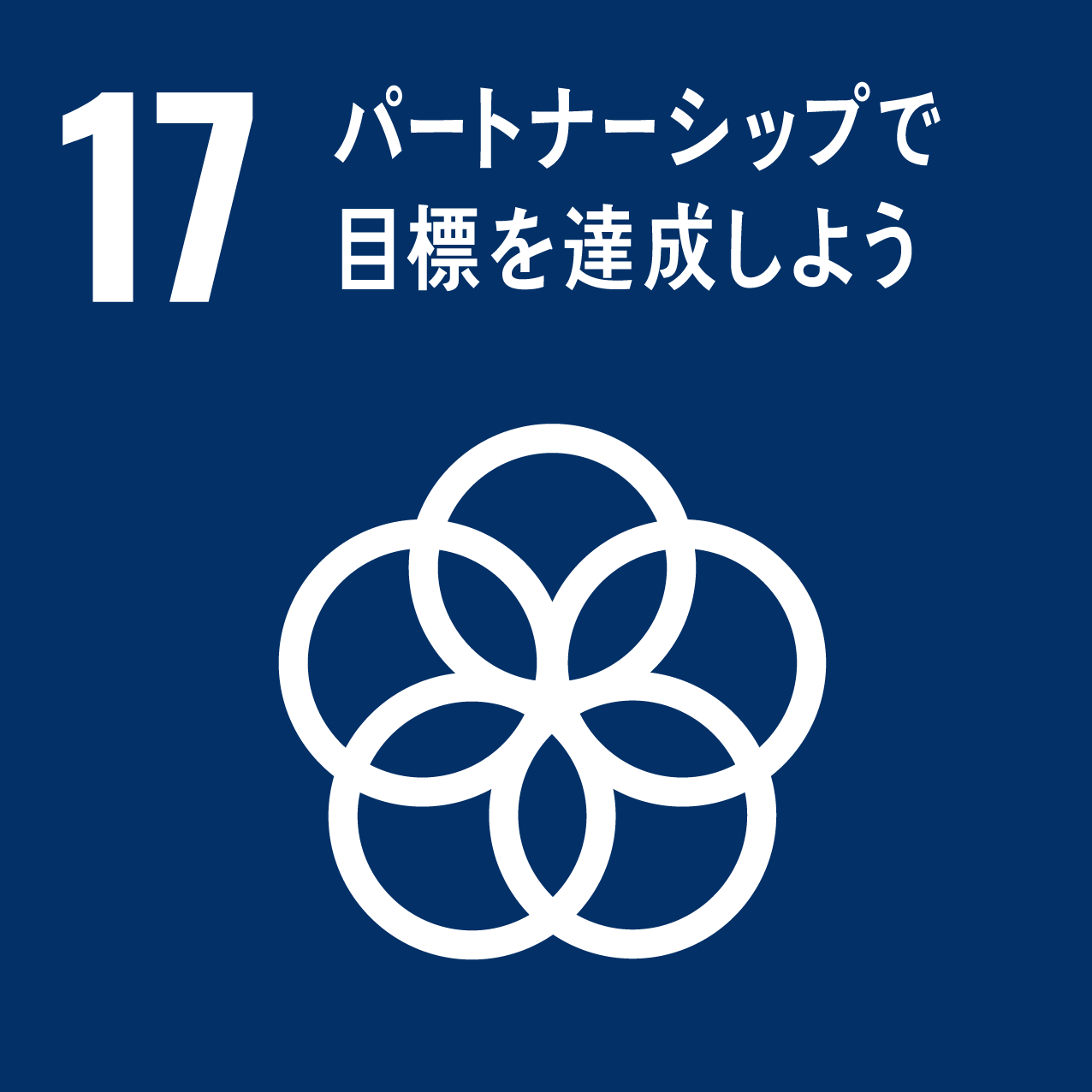report2024_SDGs17