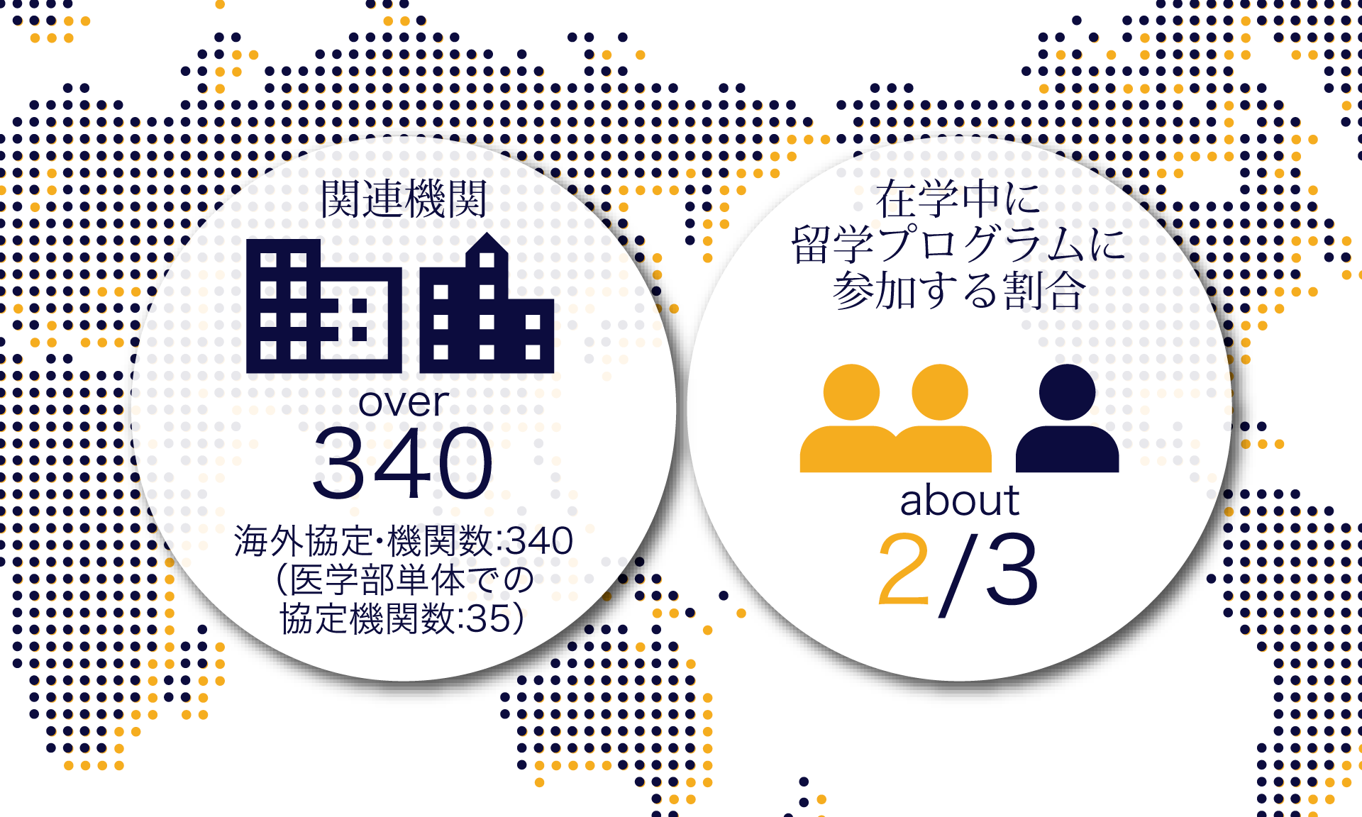 Medical Education and Research with a Global Perspective