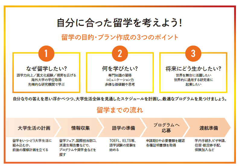留学までの流れの図