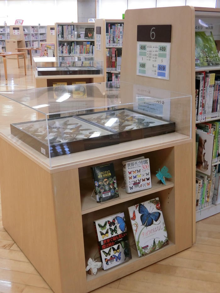 横浜初等部図書館2