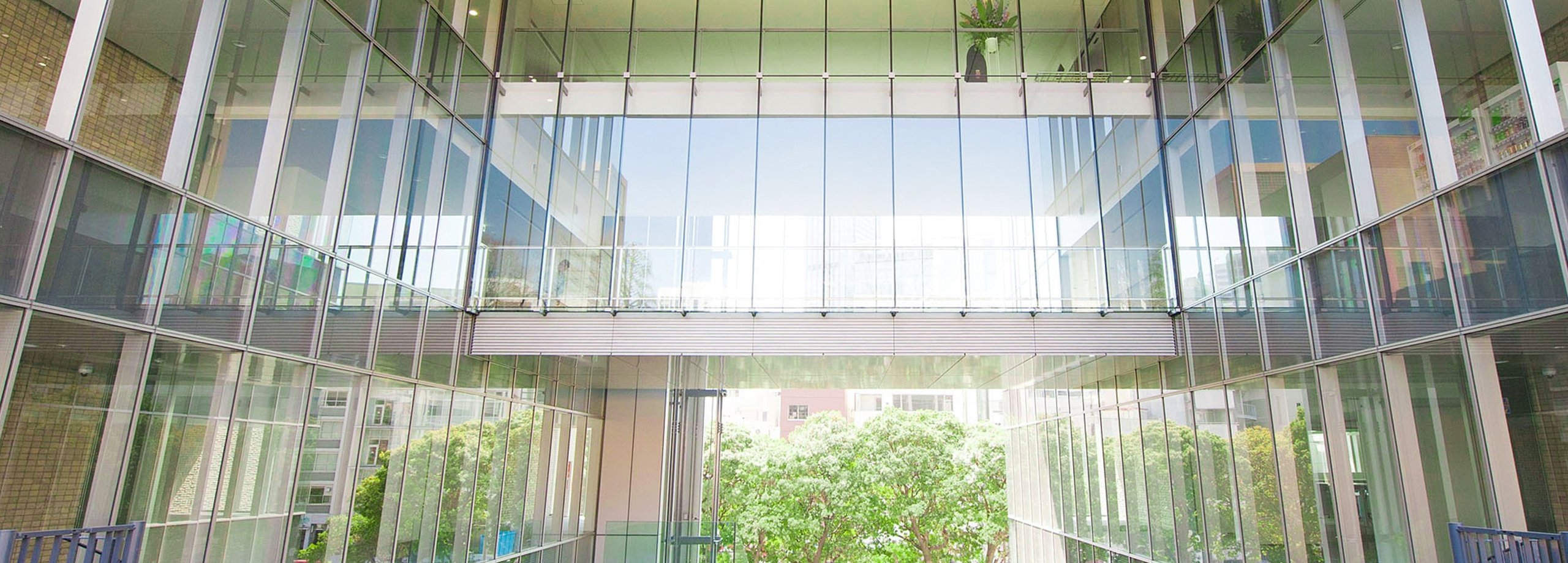 慶應義塾大学関連スタートアップ制度