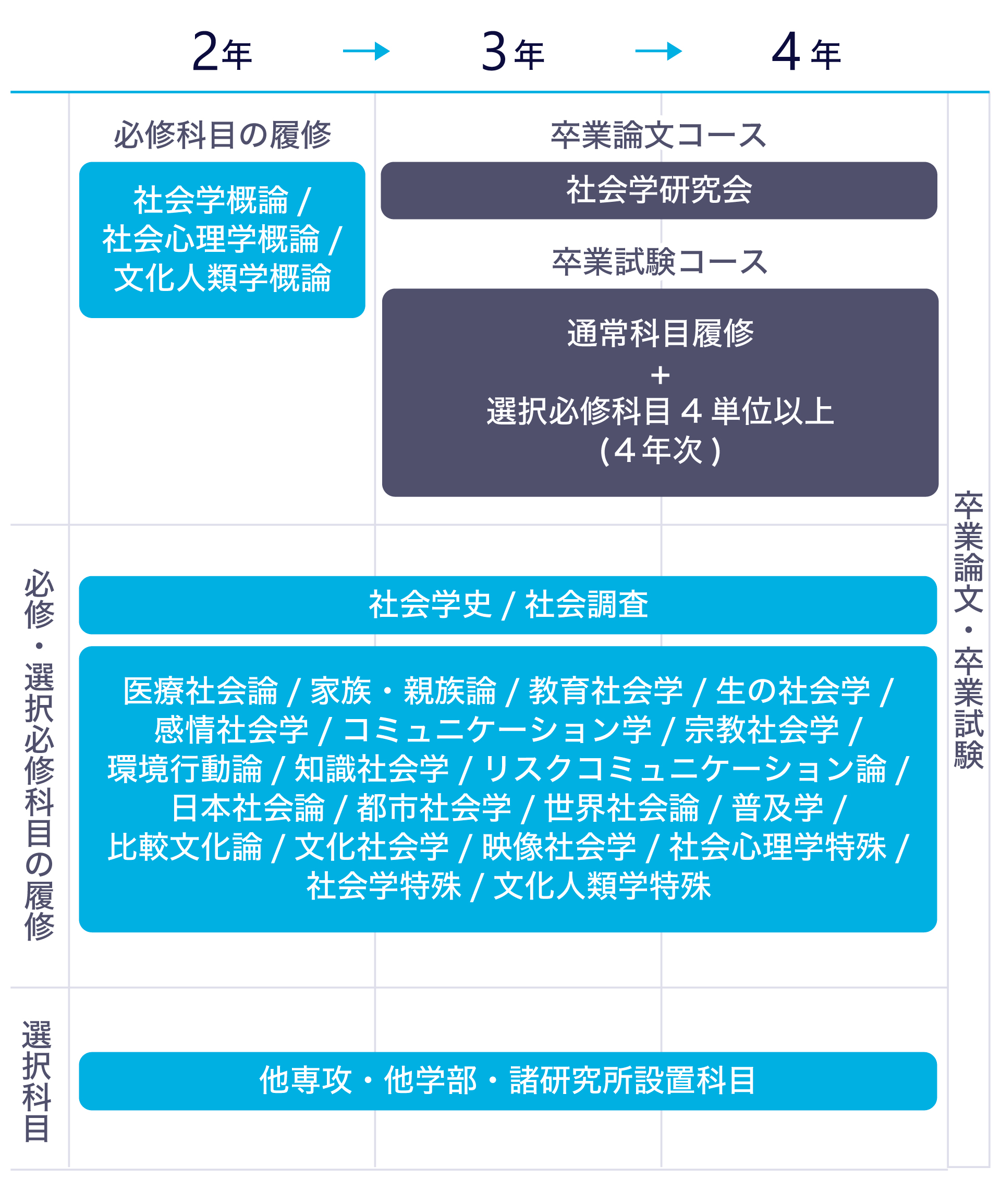カリキュラムの流れのテキストを図にまとめた画像