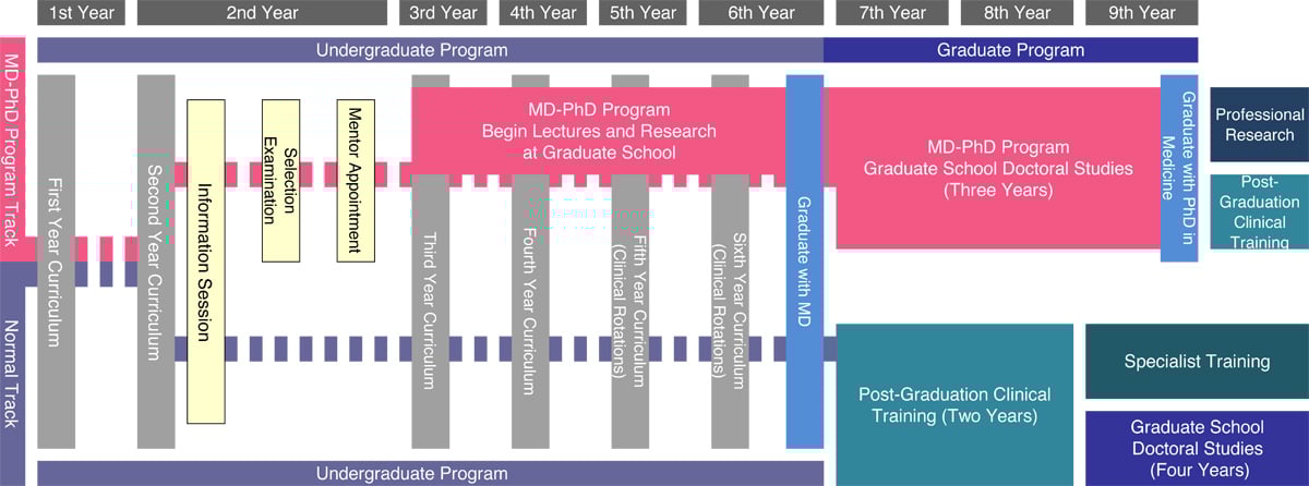 The following is a diagrammatic representation of the MD-PhD Program.