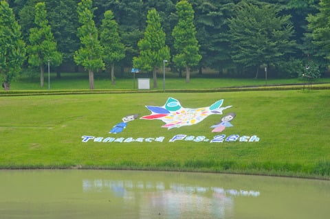 Thumbnail image of f74s8857.jpg