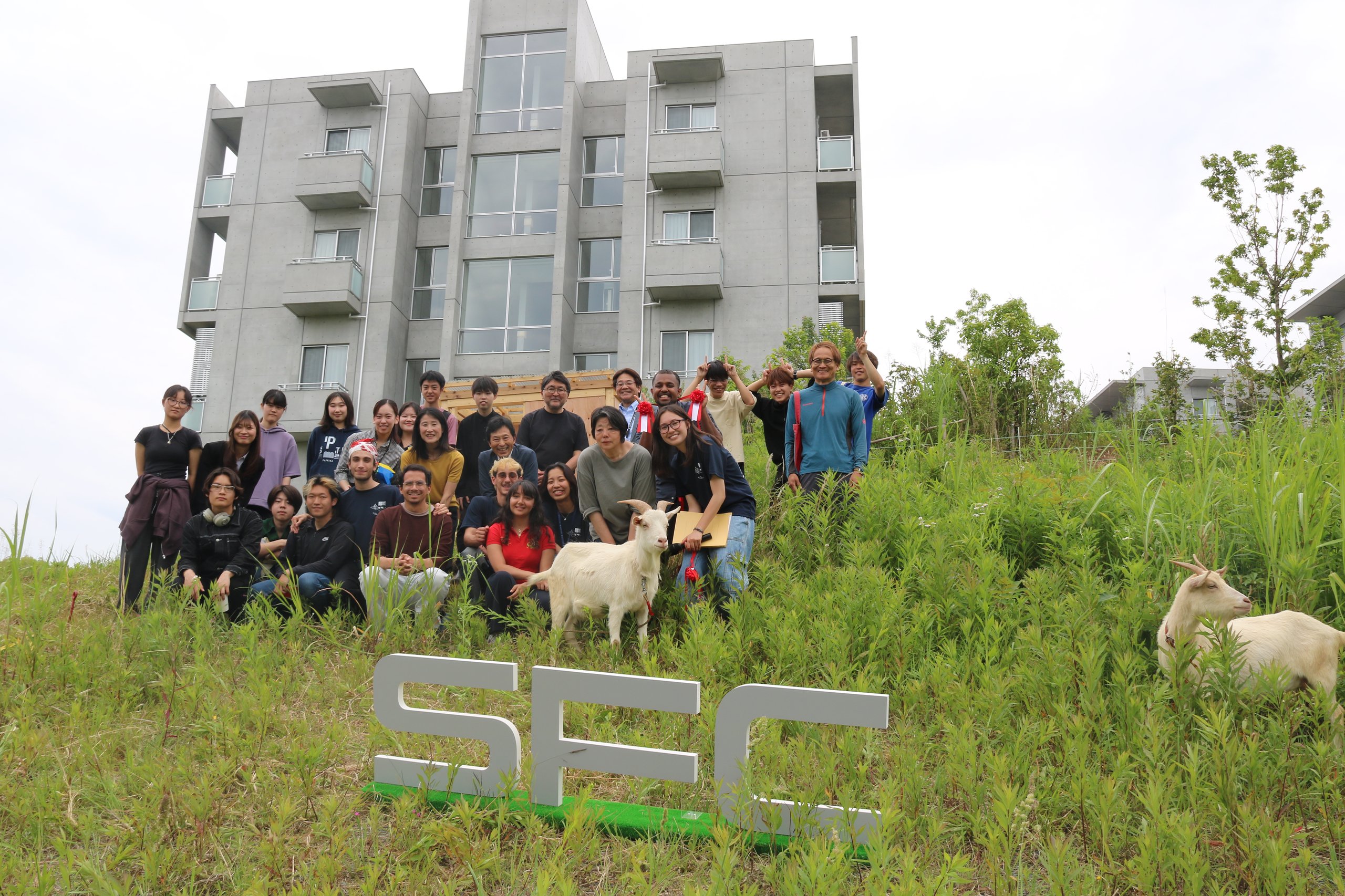 ����д��