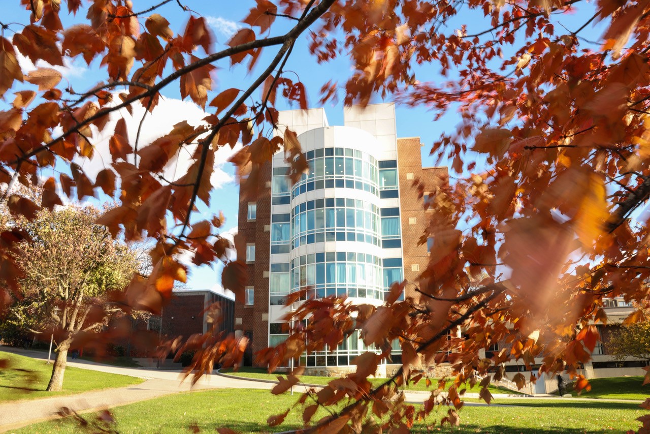 Photographs of the Brandeis University campus