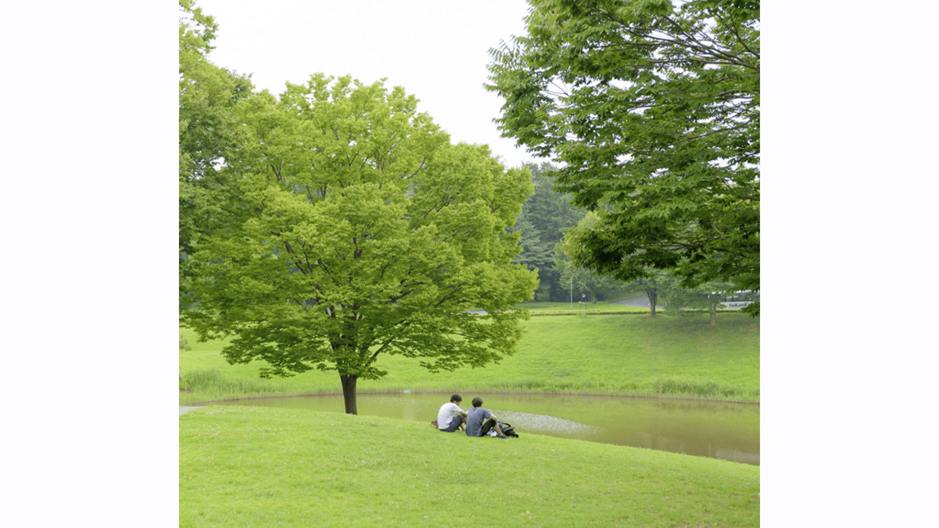 Gulliver Pond (Kamoike)