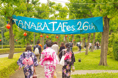 Thumbnail image of f74s8776.jpg