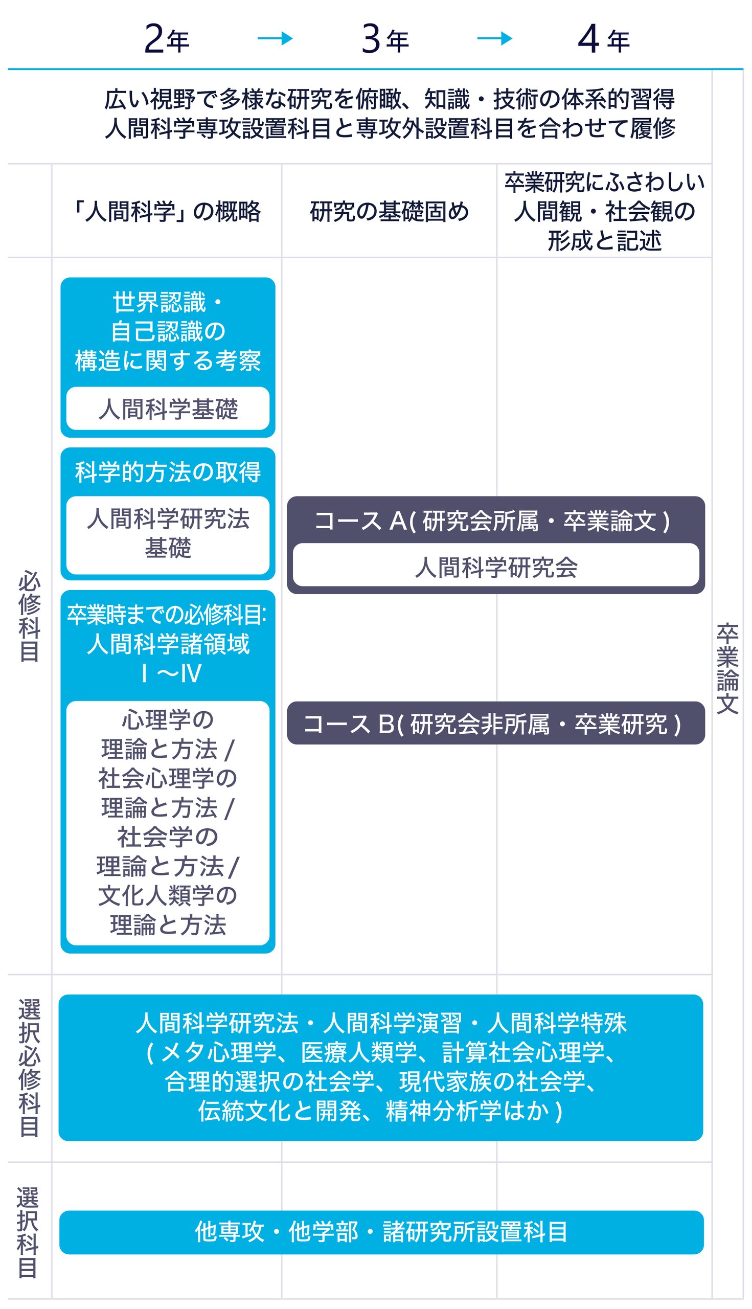 カリキュラムの流れのテキストを図にまとめた画像