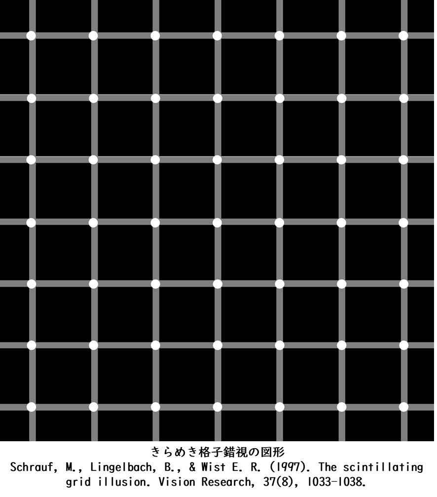 "Anisotropy in the Scintillating Grid Illusion"