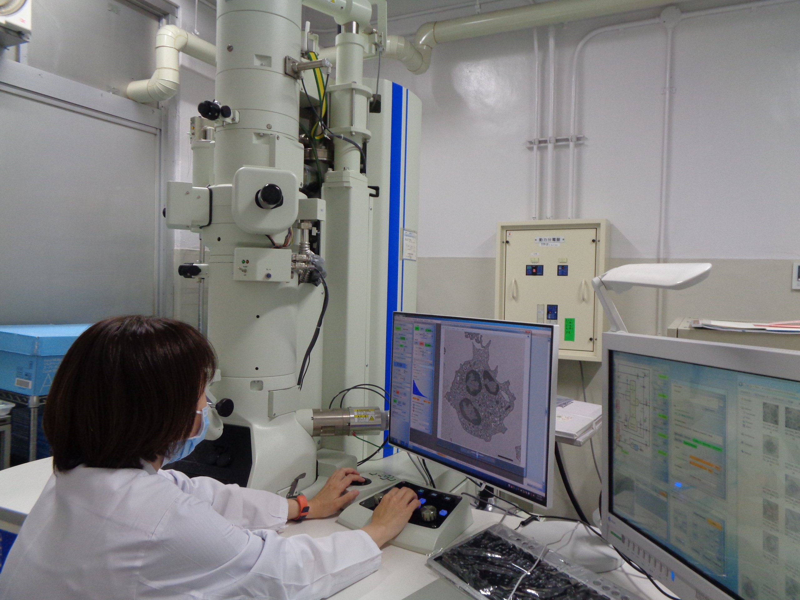 Electron Microscope Laboratory (Electron Microscope Laboratory)