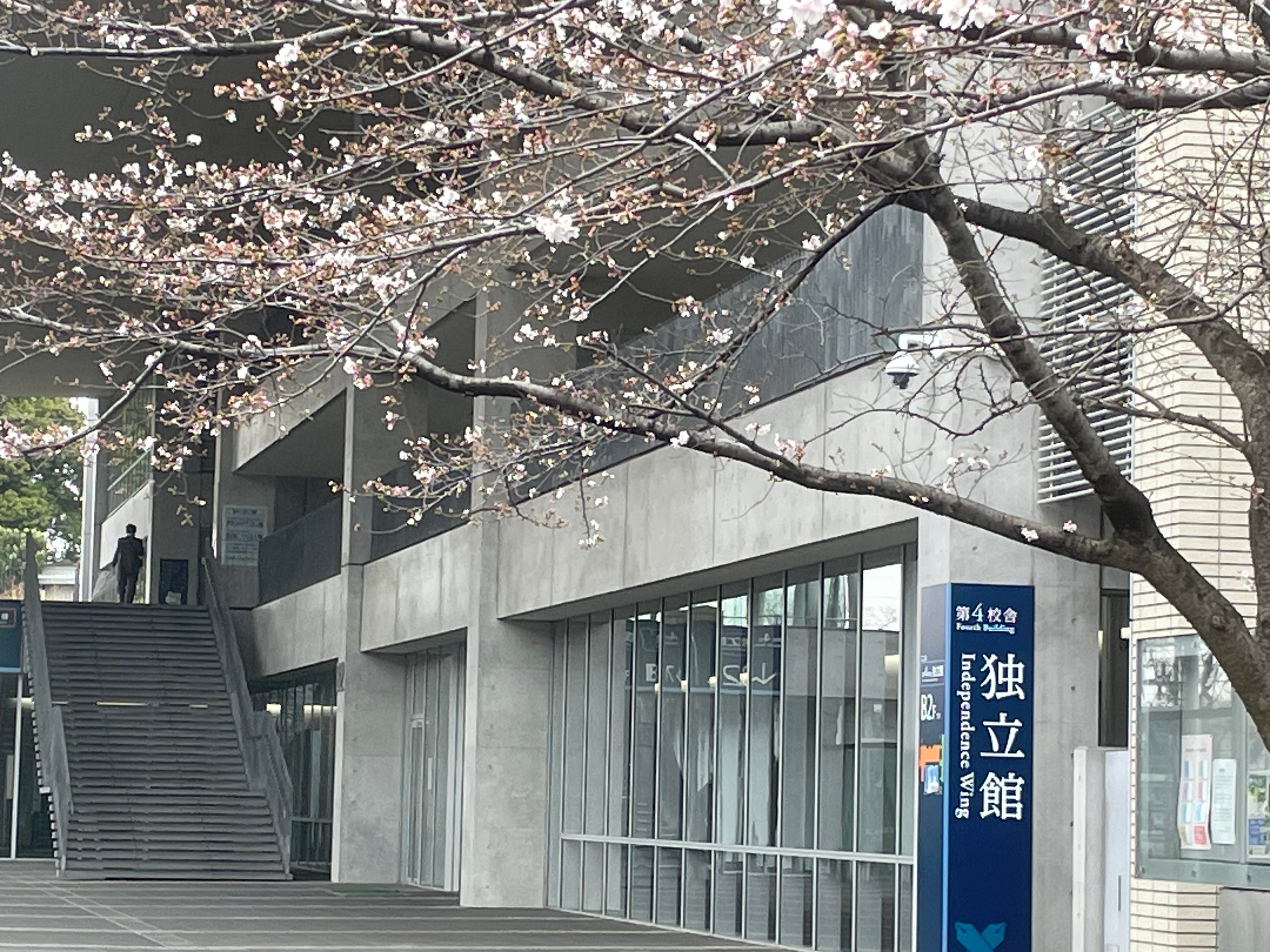 日吉キャンパスにて