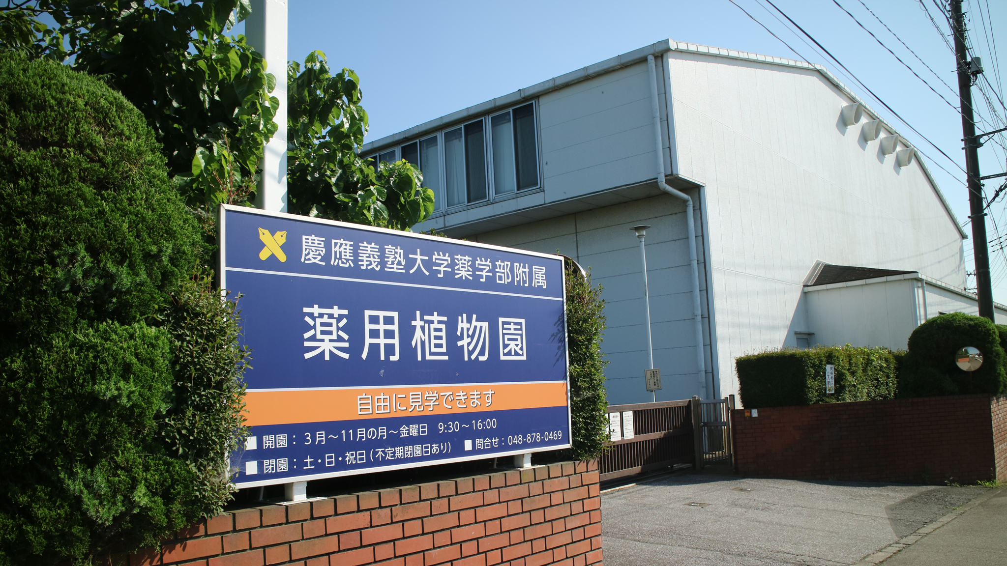 【浦和共立キャンパス入口】 看板と体育館が目印です