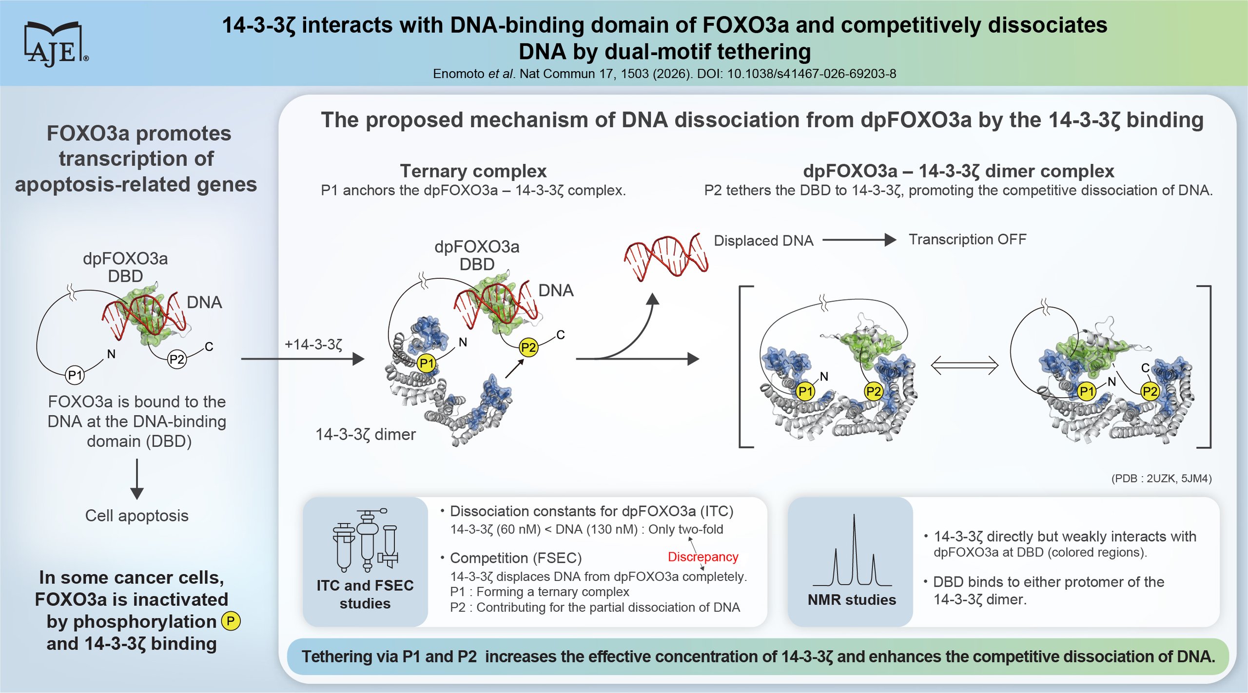 ������о���꣺14-3-3�ƥ���ѥ��ʤˤ�뤬���������ӹ󰿳ݰ�3���λ����躦�����ν���