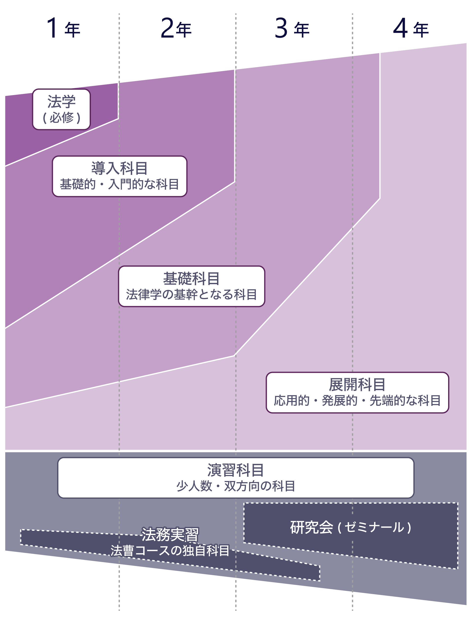 慶應義塾大学法学部法律学科のカリキュラムの流れを図にしたものです。