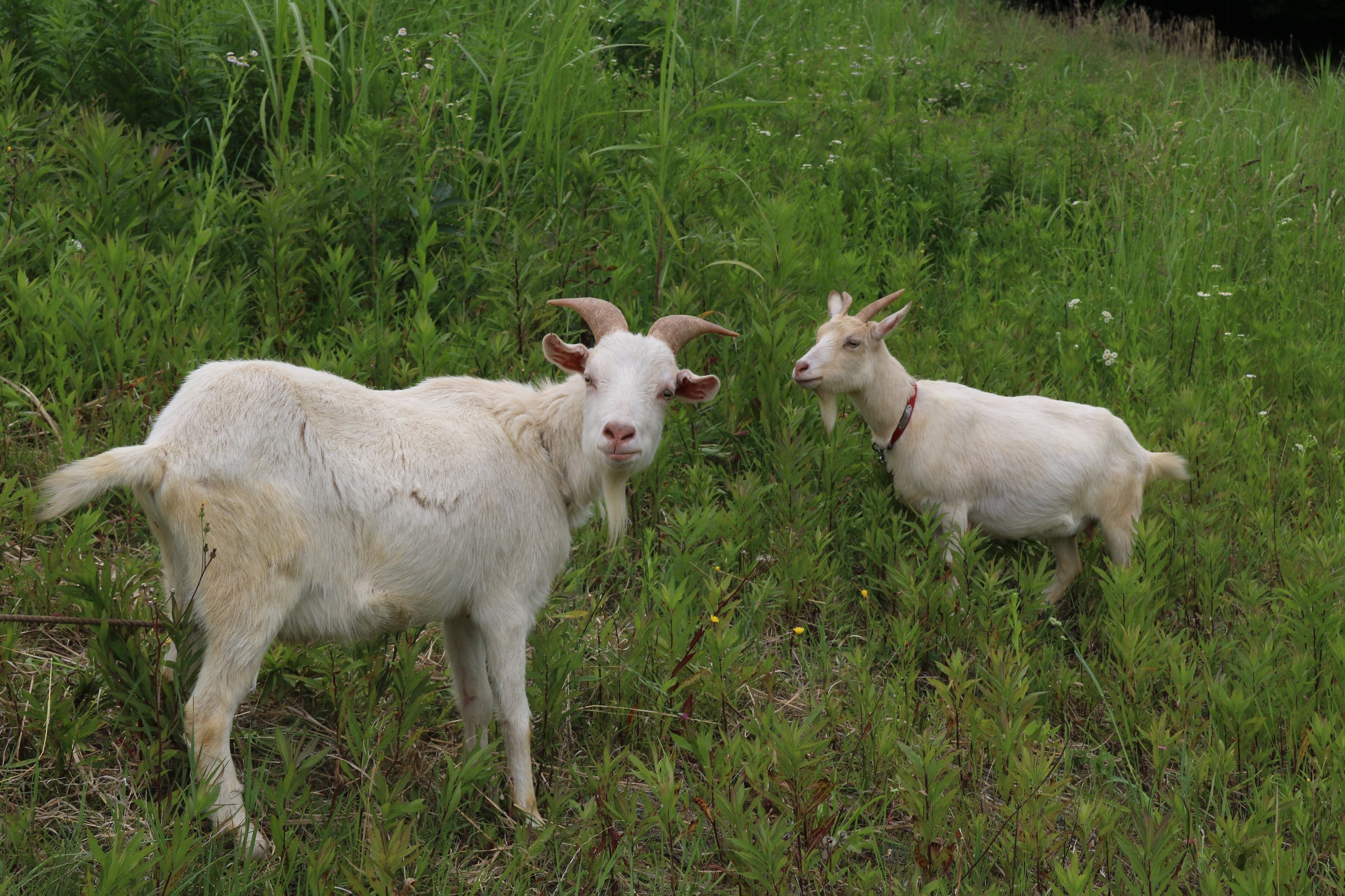 �䥮��2ƥ�K�֘���