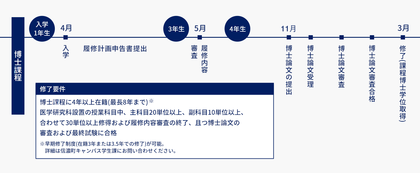カリキュラムの説明図。詳細は下記テキストの通りです。