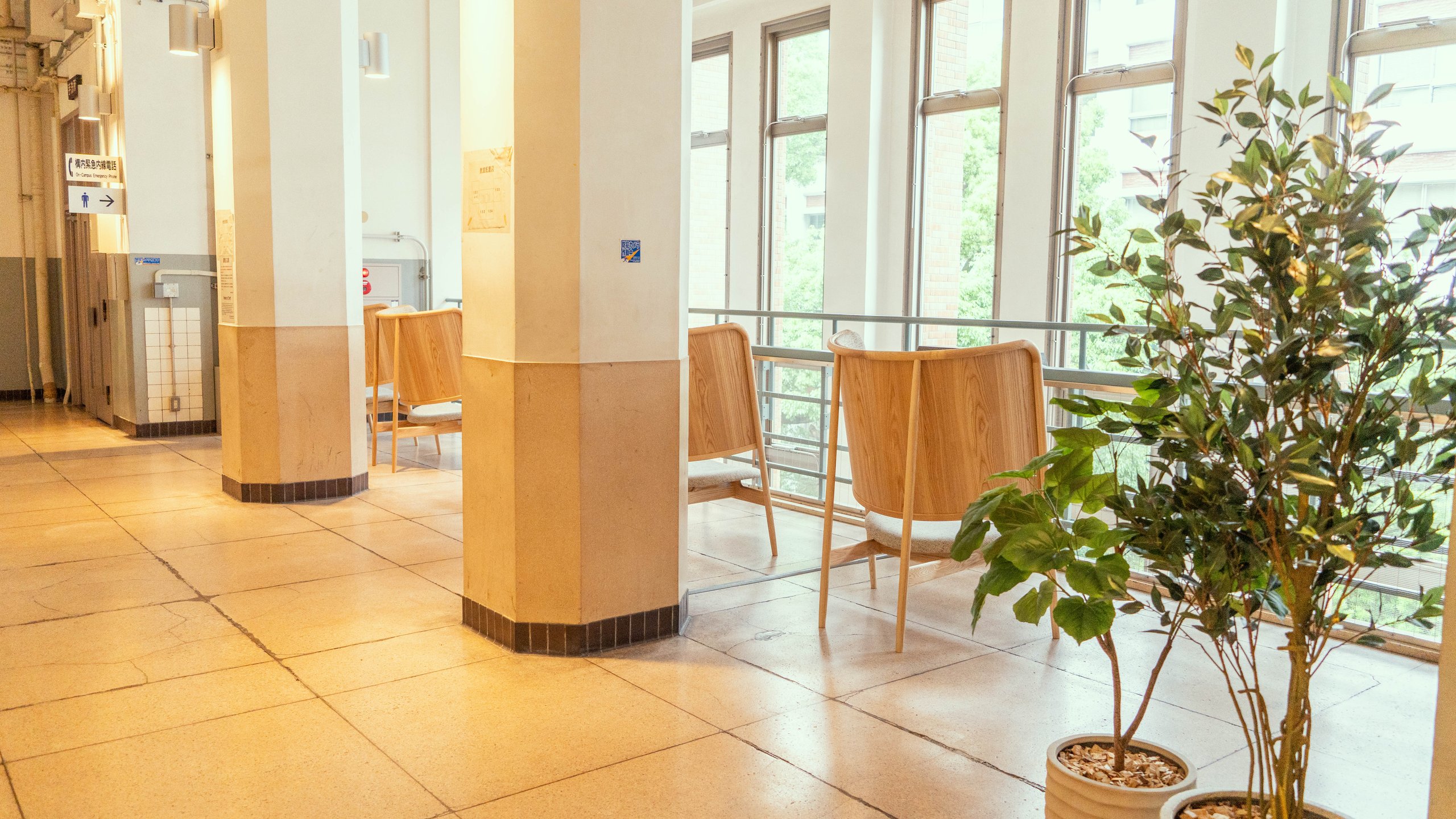 第一校舎3階。2階からの吹き抜けに面して並ぶ木製の一人掛けソファーと観葉植物