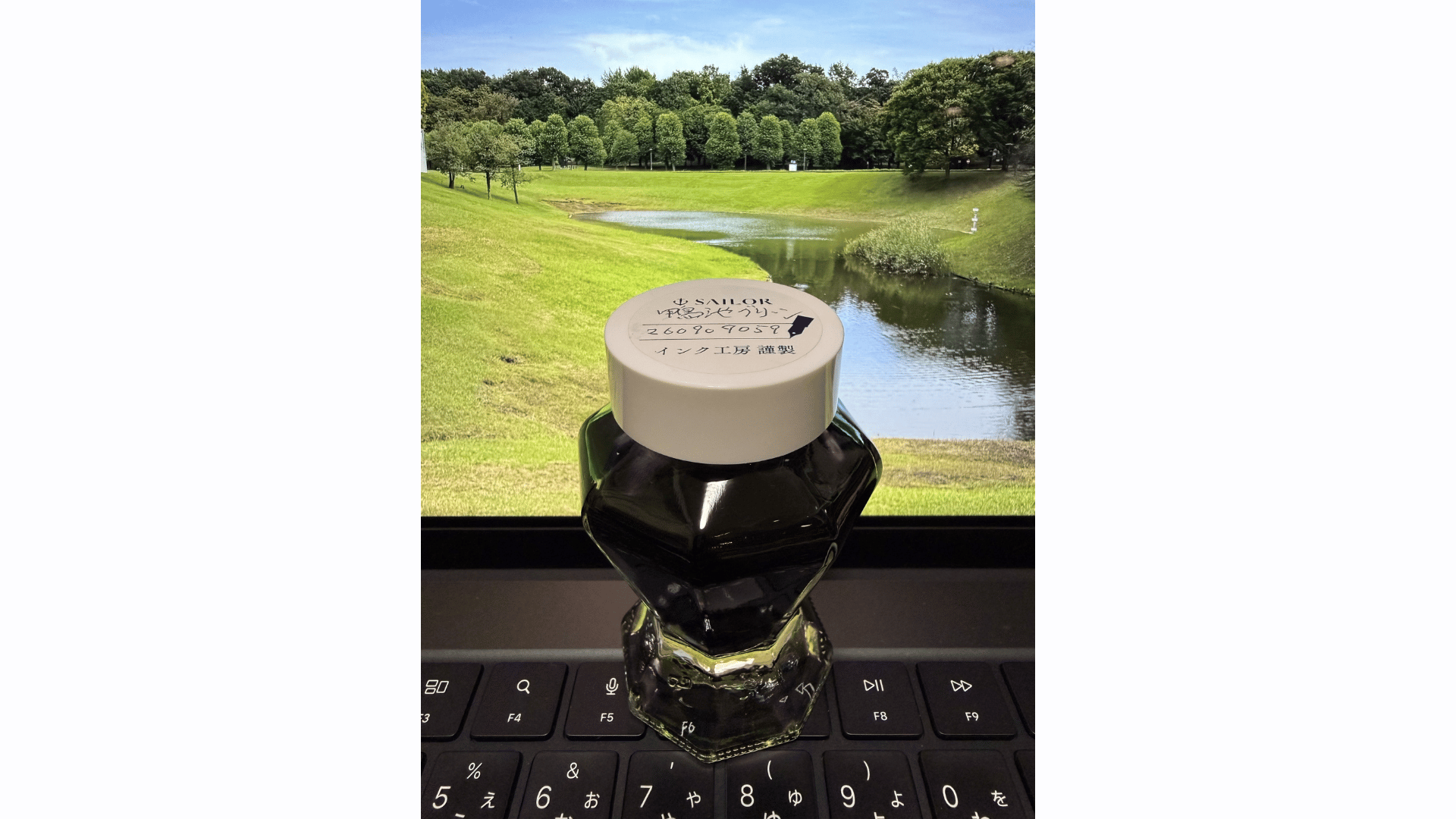 鴨池グリーン