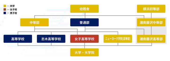 This is a diagram showing the educational system of Keio University (a chart of the progression through the affiliated schools).