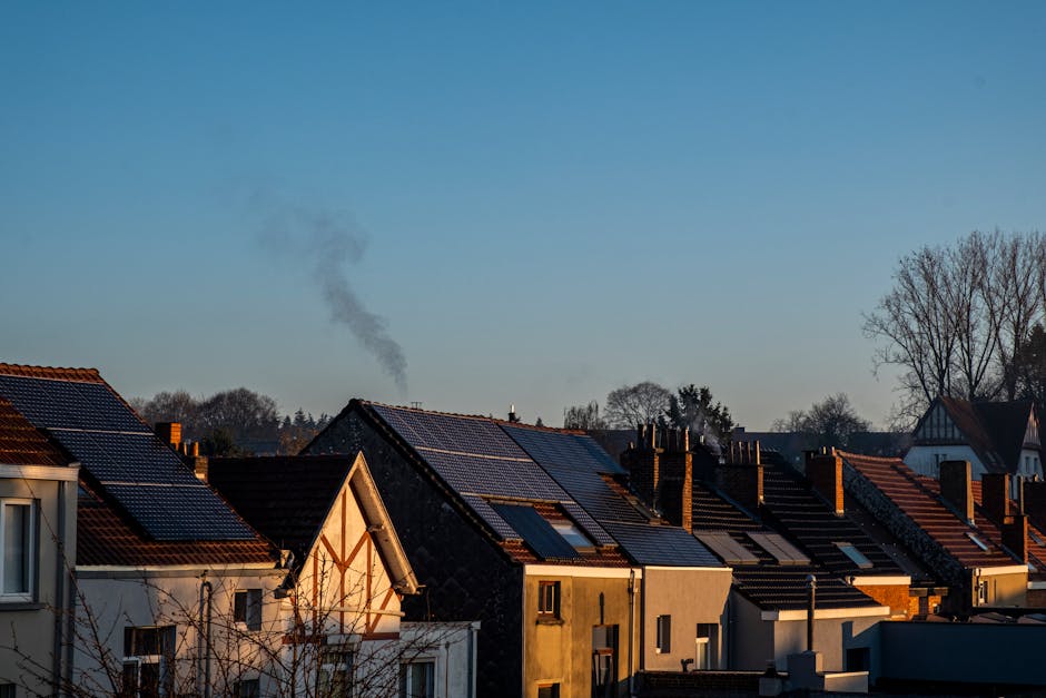 community solar panels rooftop small business neighborhood