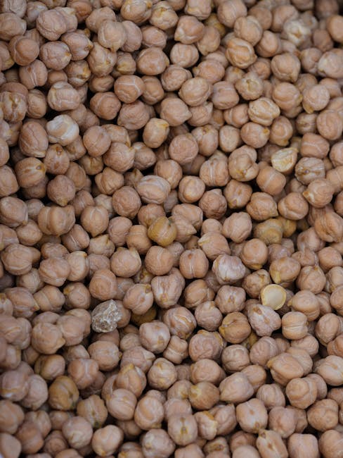 Macro shot of fresh chickpeas, ideal for healthy vegan snacks or nutrition-rich meals.
