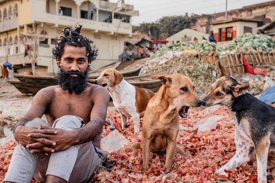 الدرهم الرقمي وتجربة الإمارات: ماذا يعني إطلاق الدرهم الرقمي للمستثمرين والمدفوعات العابرة للحدود؟ [MENA Markets]