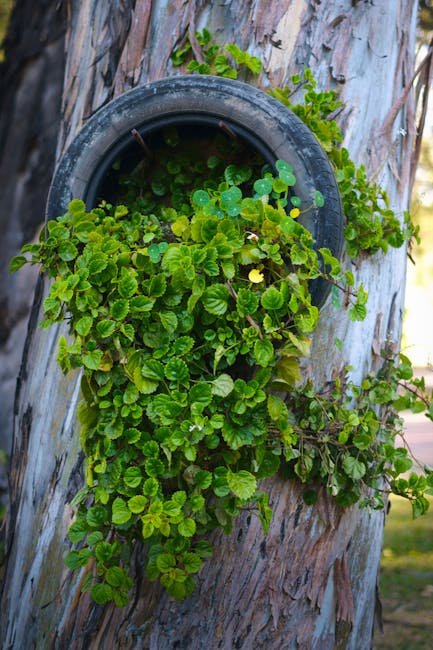 tire recycling plant pyrolysis sustainable tire circular economy