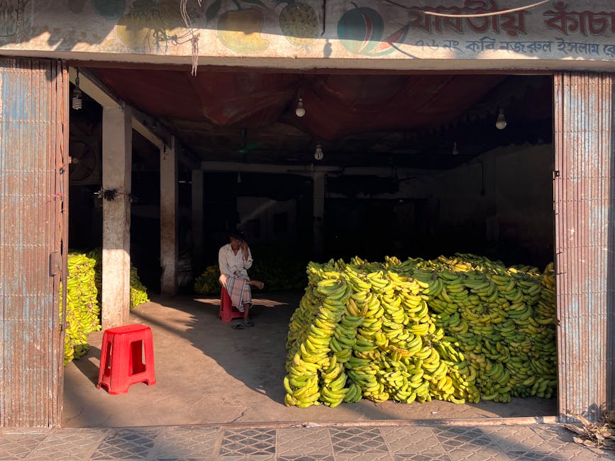 التسعير الديناميكي لتجار الجملة: كيف تستخدم البيانات والذكاء الاصطناعي لرفع الهوامش وخفض الفاقد [B2B Trade & Wholesale]