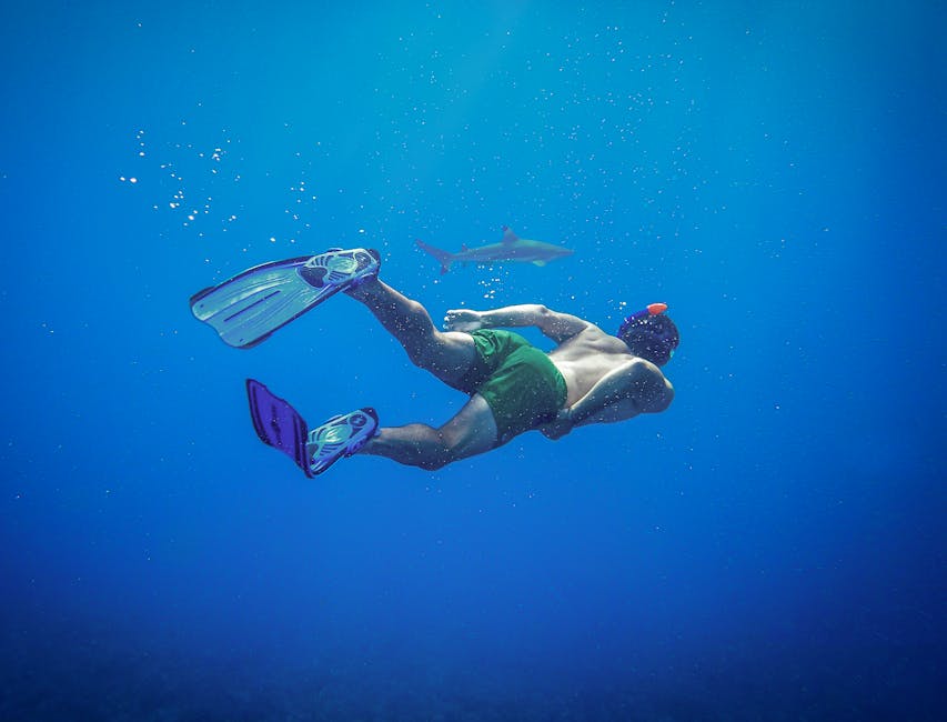 A snorkeler swims underwater with a shark in Moorea's clear ocean waters.