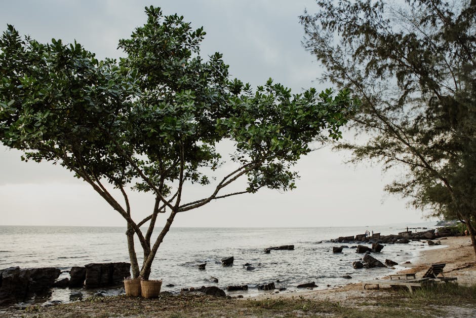Nuqui eco lodge beach jungle Colombia palm trees cabin ocean view