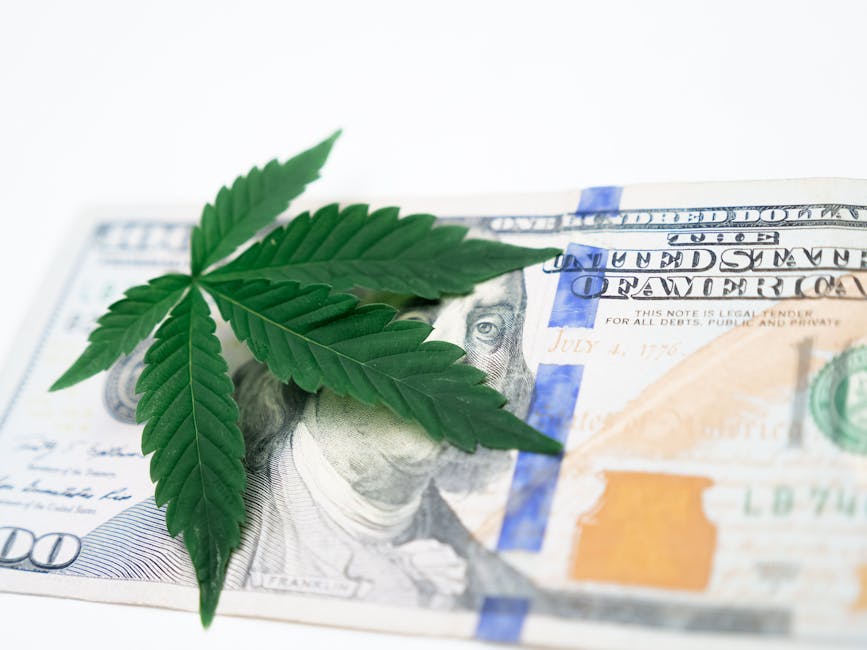 Cannabis leaf on a US hundred dollar bill symbolizing the marijuana economy.