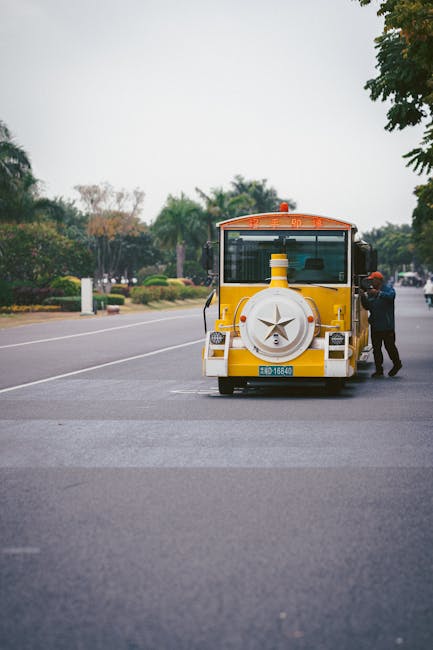 Sightseeing bus in big park