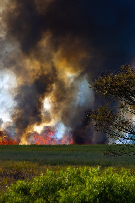 A dramatic scene of a field fire with thick smoke and visible flames, captured outdoors.