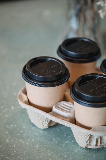 compostable ice cream cups paperboard PLA lined eco-friendly cup