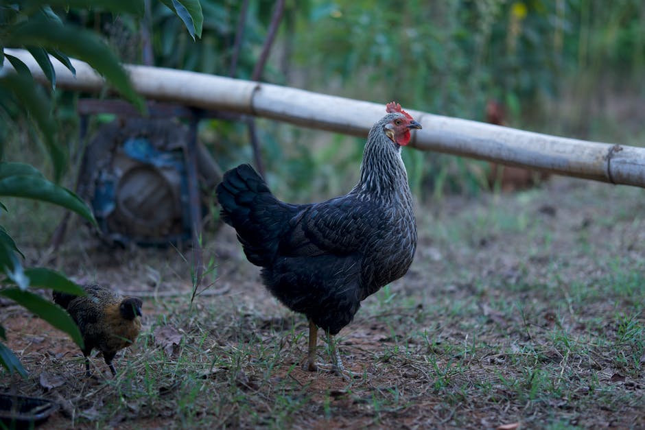 التخلص وإعادة تدوير الإسفنج الزهري: دليل للمحلات والمصممين نحو سلسلة إمداد أنظف [Sustainability & Sourcing]
