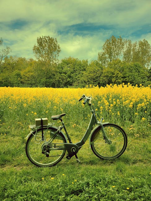 Explore nature's beauty with a bicycle parked in a vibrant yellow flower field under a spring sky.